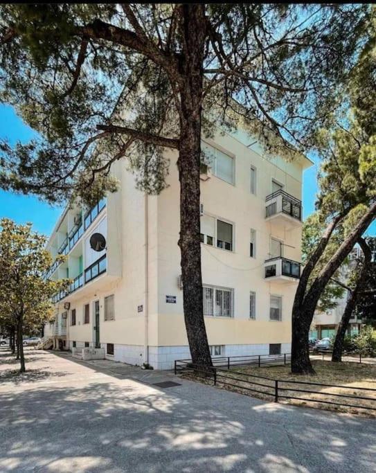 Apartment Music-Center, In The Center Of Podgorica Exteriér fotografie